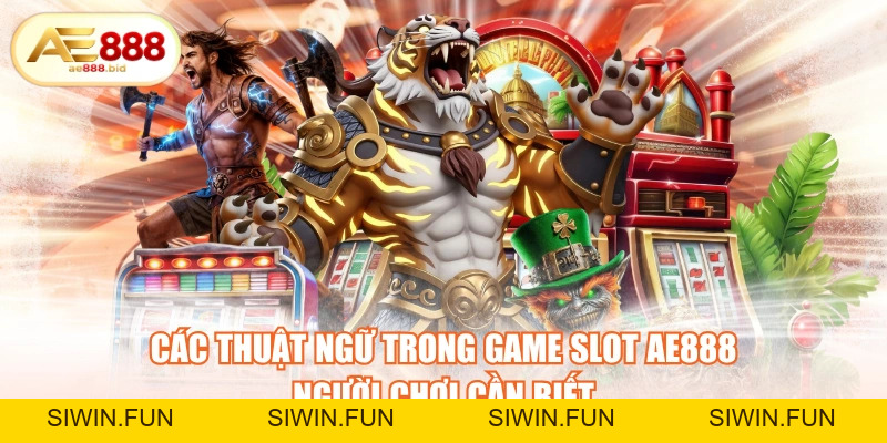Các Thuật Ngữ Trong Game Slot AE888 Người Chơi Cần Biết - siwin