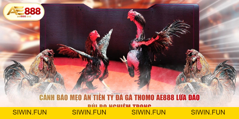 Mẹo Soi Kèo Đá Gà Thomo Ăn Tiền Tỷ Từ Cao Thủ AE888 - siwin