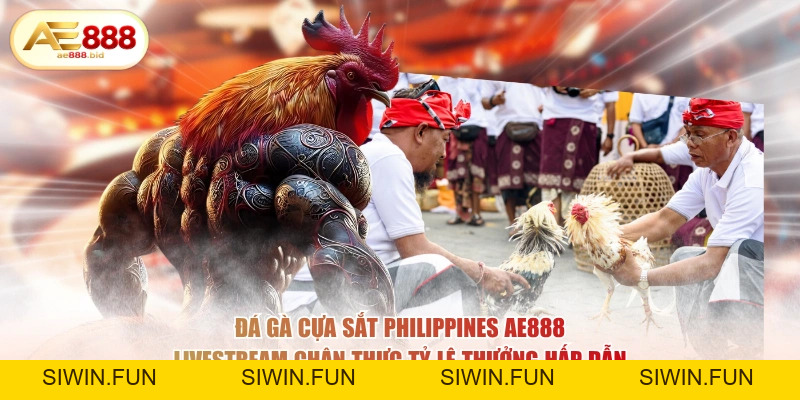Đá Gà Cựa Sắt Philippines Tại AE888 - Cược Trực Tiếp - siwin Đá Gà Cựa Sắt Philippines Tại AE888 - Cược Trực Tiếp - siwin