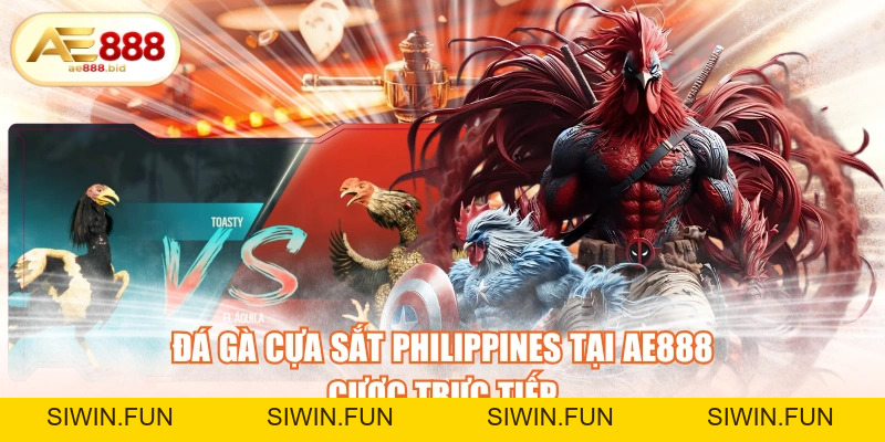 Đá Gà Cựa Sắt Philippines Tại AE888 - Cược Trực Tiếp - siwin Đá Gà Cựa Sắt Philippines Tại AE888 - Cược Trực Tiếp - siwin