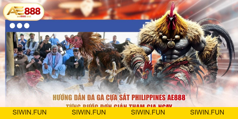 Đá Gà Cựa Sắt Philippines Tại AE888 - Cược Trực Tiếp - siwin Đá Gà Cựa Sắt Philippines Tại AE888 - Cược Trực Tiếp - siwin