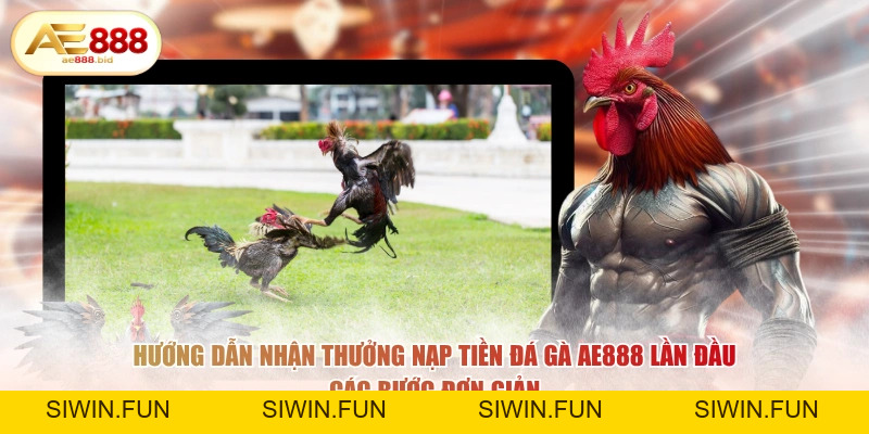 Thưởng Nạp Tiền Chơi Đá Gà AE888 Lần Đầu HOT 2026 - siwin