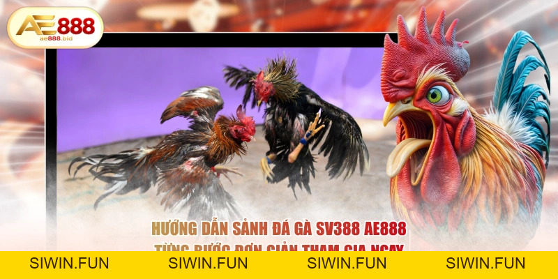 Sảnh Đá Gà SV388 Tại AE888 - Cược Trực Tiếp Chân Thực - siwin Sảnh Đá Gà SV388 Tại AE888 - Cược Trực Tiếp Chân Thực - siwin