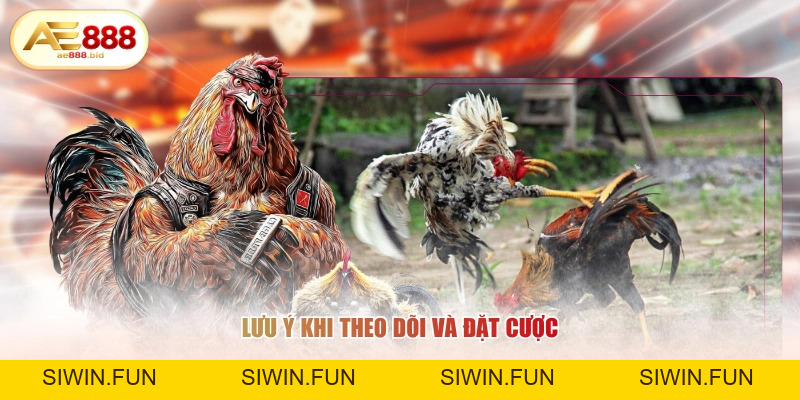 Ý Nghĩa Các Cửa Meron, Wala, BDD Trong Đá Gà AE888 - siwin Ý Nghĩa Các Cửa Meron, Wala, BDD Trong Đá Gà AE888 - siwin