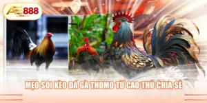 AE888 - TRANG CHỦ AE 888 ĐĂNG KÝ, ĐĂNG NHẬP +888K - siwin