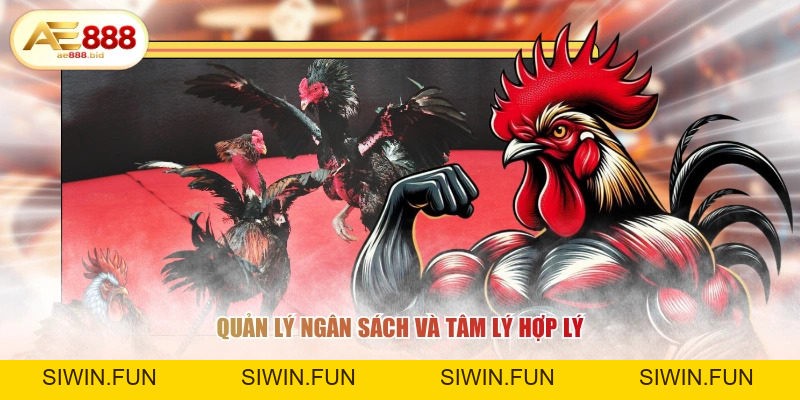 Mẹo Soi Kèo Đá Gà Thomo Ăn Tiền Tỷ Từ Cao Thủ AE888 - siwin