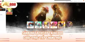 Các Thuật Ngữ Trong Game Slot AE888 Người Chơi Cần Biết - siwin
