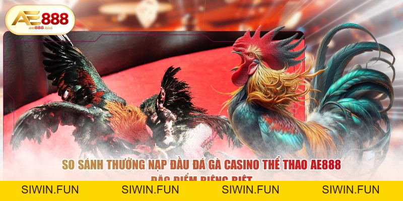 Thưởng Nạp Tiền Chơi Đá Gà AE888 Lần Đầu HOT 2026 - siwin