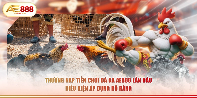 Thưởng Nạp Tiền Chơi Đá Gà AE888 Lần Đầu HOT 2026 - siwin