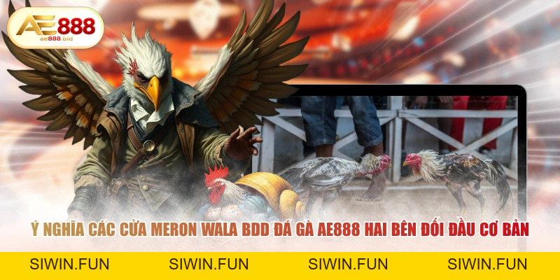 Ý Nghĩa Các Cửa Meron, Wala, BDD Trong Đá Gà AE888 - siwin Ý Nghĩa Các Cửa Meron, Wala, BDD Trong Đá Gà AE888 - siwin