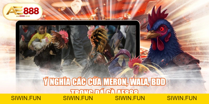 Ý Nghĩa Các Cửa Meron, Wala, BDD Trong Đá Gà AE888 - siwin Ý Nghĩa Các Cửa Meron, Wala, BDD Trong Đá Gà AE888 - siwin